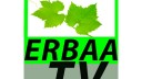 ERBAA TV Logo